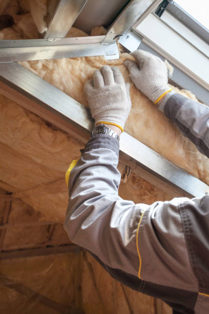 Best Commercial Insulation in St Bernard, OH