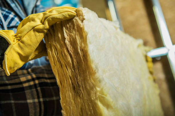 Best Residential Insulation in St Bernard, OH