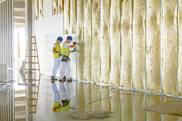 Best Energy Efficiency Insulation in St Bernard, OH